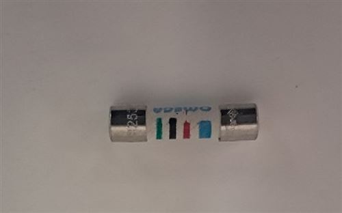 Photo de l'article RIELLO Fusible pour modle Gulliver RG