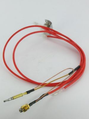 Photo de l'article ELM LEBLANC Contrle d''vacuation des gaz brls