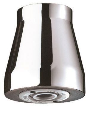 Photo de l'article DELABIE Pomme de douche suspendue GYM