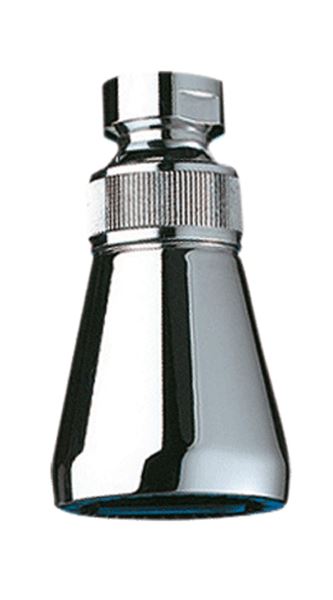 Photo de l'article DELABIE Pomme de douche Gym Confort