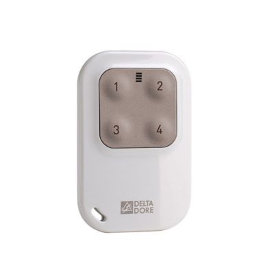 Photo de l'article DELTA DORE T�L�COMMANDE PORTE-CL� TYXIA 1410