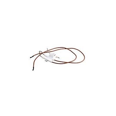 Photo de l'article VAILLANT Electrode 090724