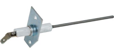 Photo de l'article ELM LEBLANC Electrode ionisation L10.29951