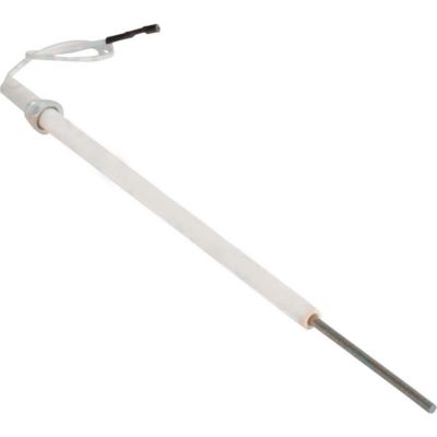 Photo de l'article ELM LEBLANC Electrode ionisaton