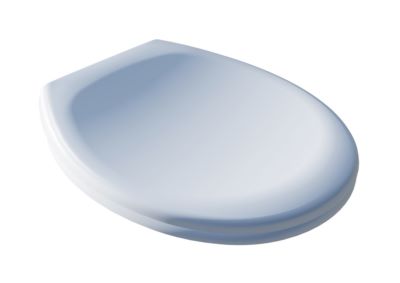 Photo de l'article DUBOURGEL Abattant PROFIL avec frein de chute