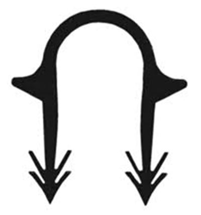 Photo de l'article VELTA Agrafes VELTAFIX 