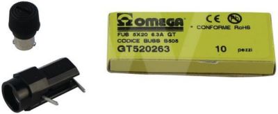 Photo de l'article RIELLO Fusible 6.3 A