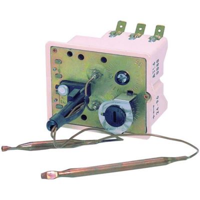 Photo de l'article THERMOR Thermostat  BTS 2 bulbes TRI  L320