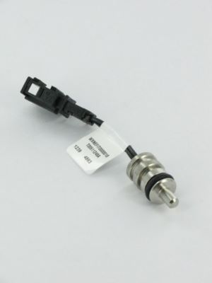 Photo de l'article BUDERUS Sonde NTC complte (611248A)     GB022