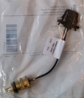 Photo de l'article BUDERUS Sonde dpart retour        GB022