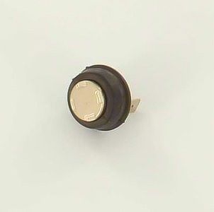 Photo de l'article BUDERUS Limiteur de temprature        GB022