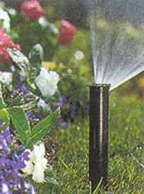 Photo de l'article M0255 Tuyre Hunter