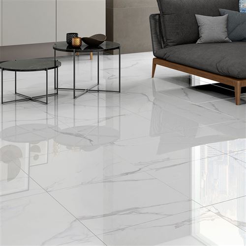 Photo de l'article PAMESA Carrelage sol / mur int�rieur effet marbre PORTOFINO 60,8x60,8 cm