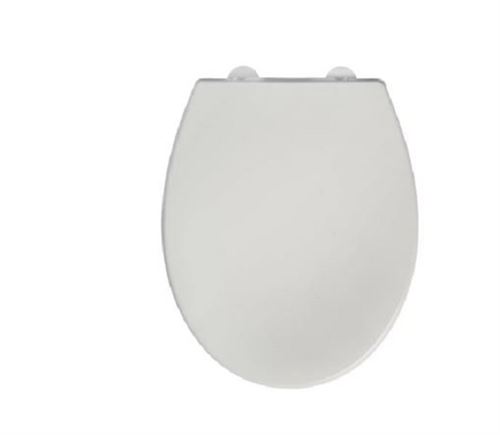 Photo de l'article DUBOURGEL  Abattant WC avec sige enfant - Family