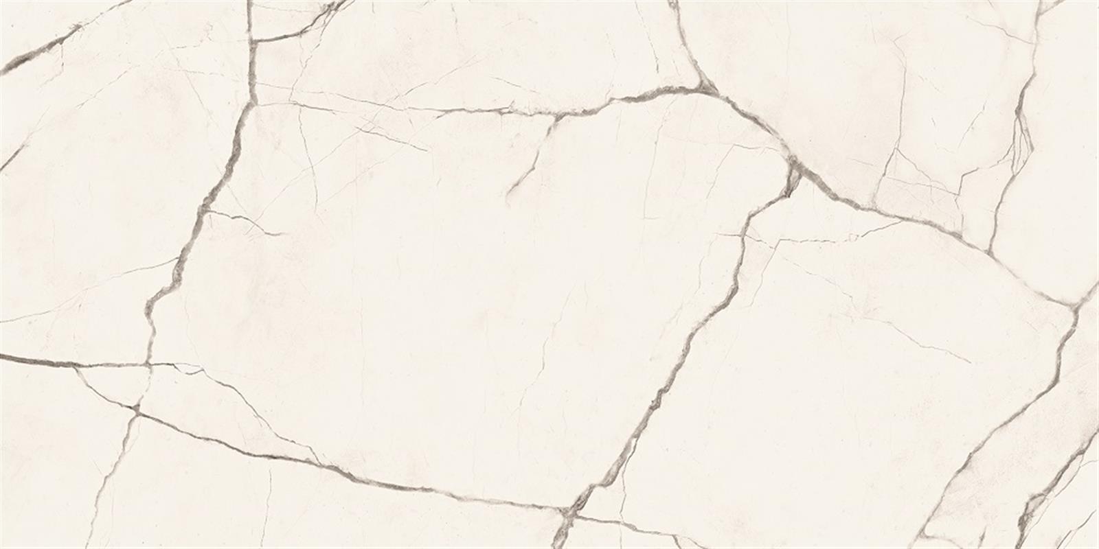 Photo de l'article IMOLA Carrelage effet marbre sol /mur int�rieur THE ROOM 60x120 cm