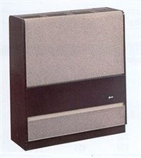 Autre photo du produit Radiateur gaz  chemine Srie 3100