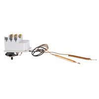Autre photo du produit Thermostat BTS 450  2 bulbes + kit