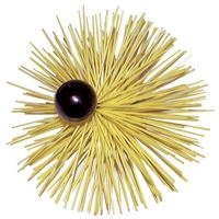 Autre photo du produit Hrisson nylon rilsan  boule 350mm  F12x175
