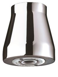 DELABIE Pomme de douche suspendue GYM