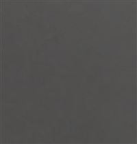 Autre photo du produit Plinthe en carrelage effet bton, rsine srie ZEN (Graphite) - 7.2 x 45  cm