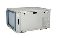Autre photo du produit Centrale horizontale gainable DF