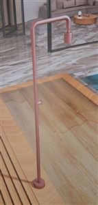 Autre photo du produit Douche extrieure piscine POOL Sries